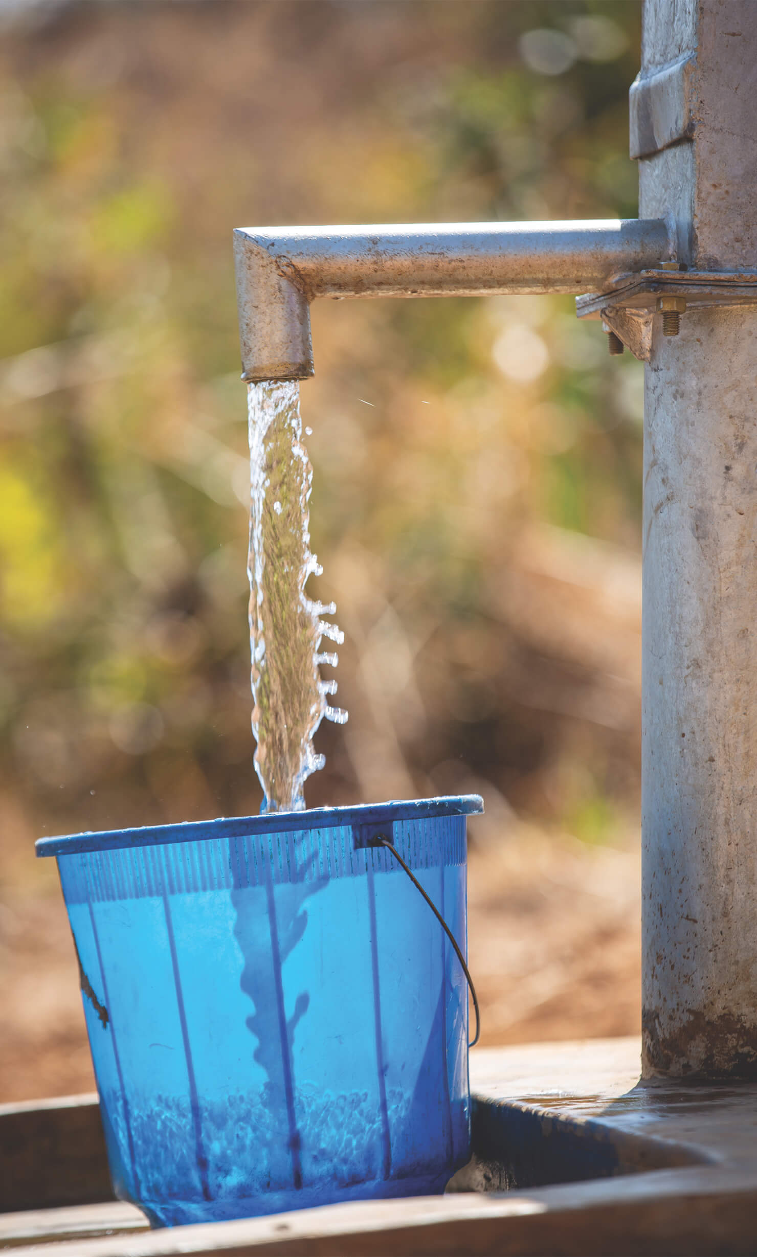 A bucket of water being filled by an outdoor faucet